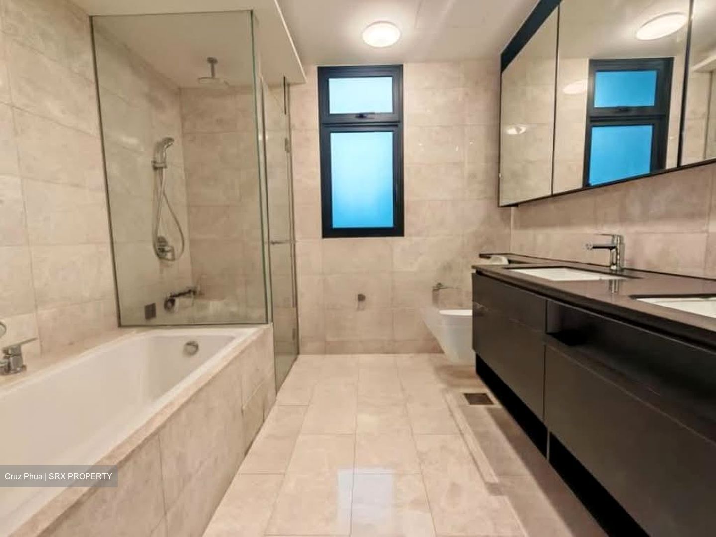 Park Colonial (D13), Condominium #583808011